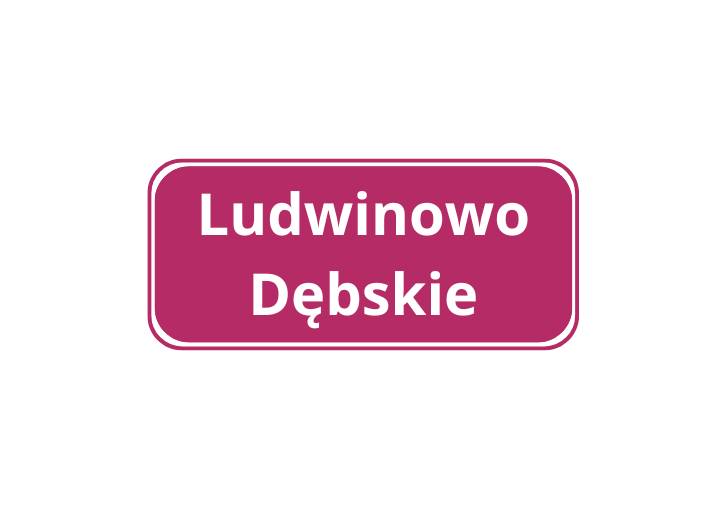 Ludwinowo Dębskie (2022)