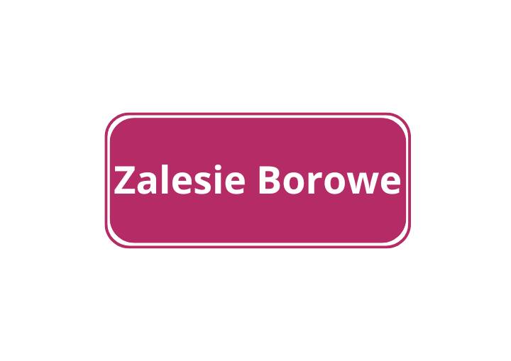 Zalesie Borowe (2021)