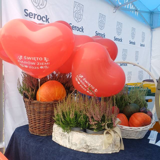 Doradcy energetyczni obecni na Święcie Darów Ziemi