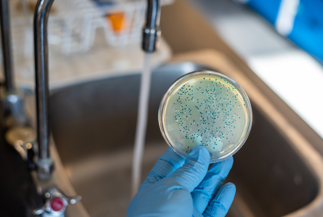 Komunikat w sprawie jakości wody z wodociągu „Łacha”