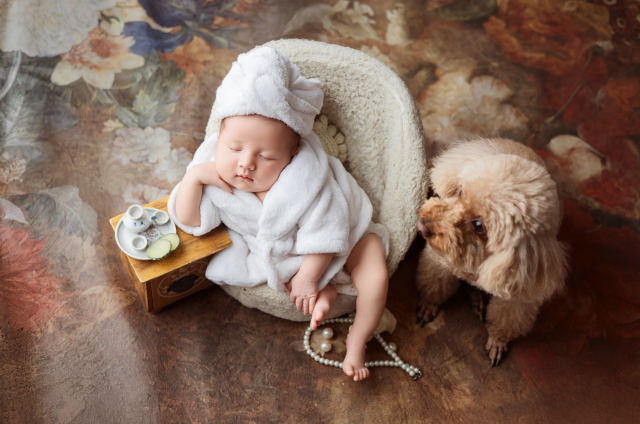 Witamy na świecie listopadowych Serocczan!