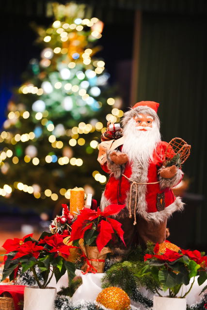 Święta, Które Łączą – Wigilijne Spotkanie w Serocku