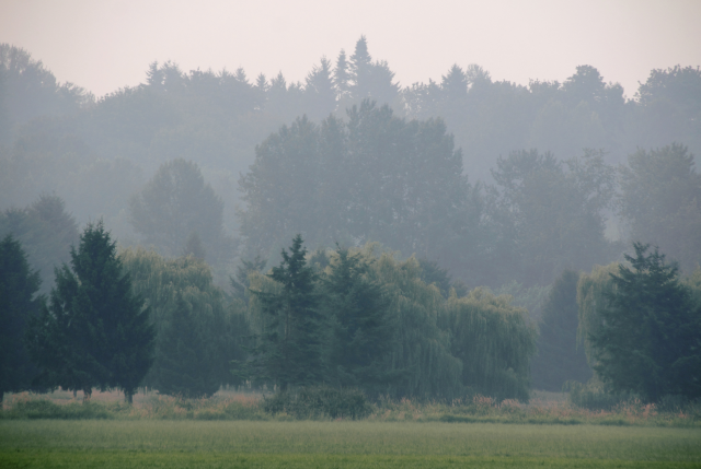  Uwaga! Ostrzeżenie o złej jakości powietrza