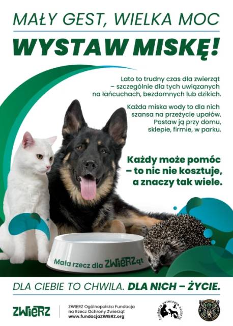 Mały gest, wielka moc – wystaw miskę!