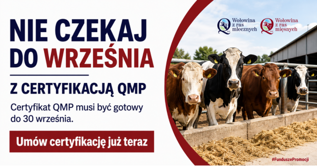 Nie czekaj do września – rozpocznij certyfikację QMP już dziś
