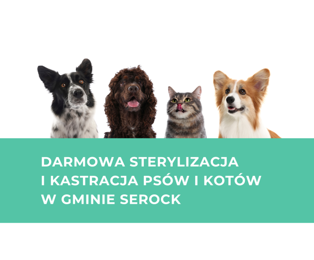 Darmowa sterylizacja i kastracja psów oraz kotów w Gminie Serock